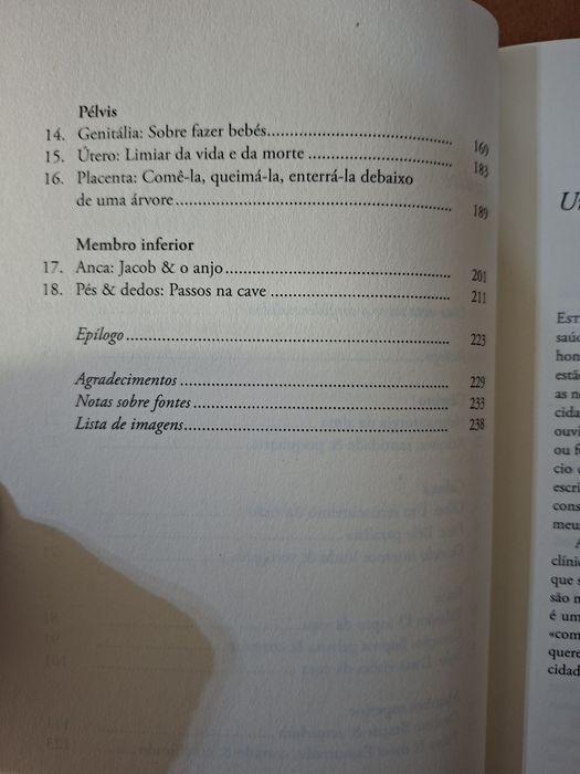 Da Cabeça aos Pés