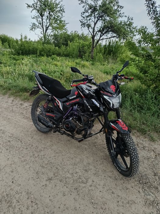 Viper ZS200R (ZS200A Racer)