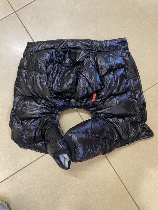 Одежда для собак