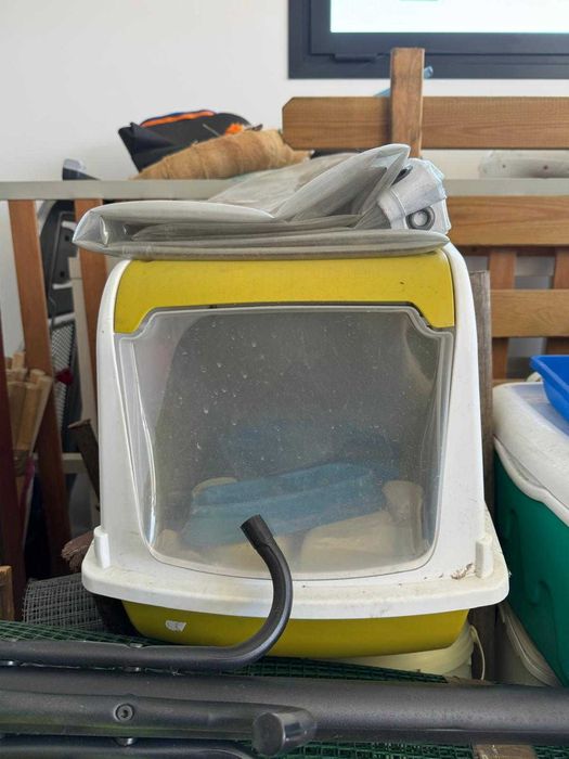 várias peças para gatos com tudo