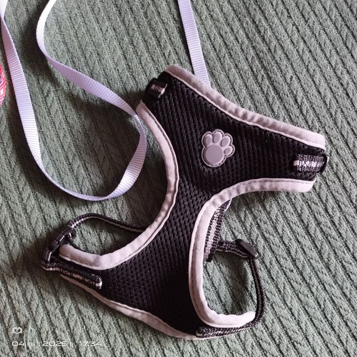 Ошийник для котика