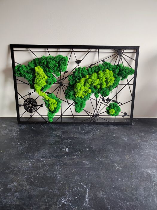 Drzewo bonsai obraz mech chrobotek