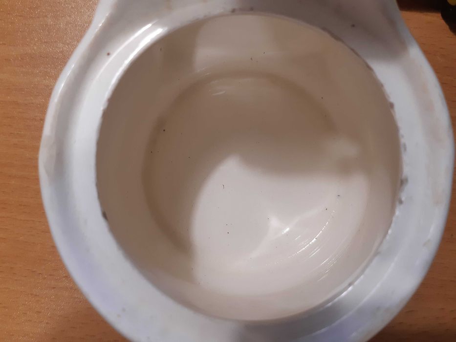 Solniczka Włocławek