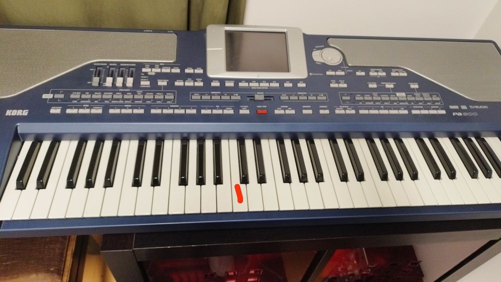 Teclado Korg PA800