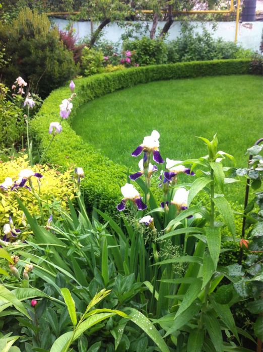 Продам по супер цене участок на Фонтане ,возле моря!!