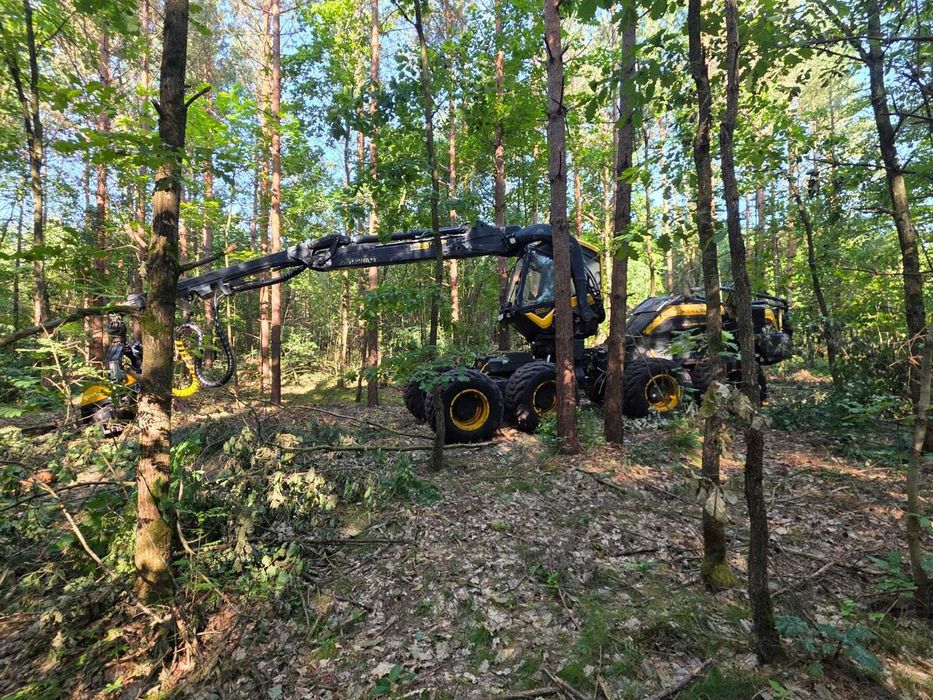 Używana maszyna leśna Harwester PONSSE Scorpion głowica H6