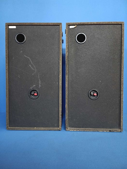 colunas PIONEER S-J300