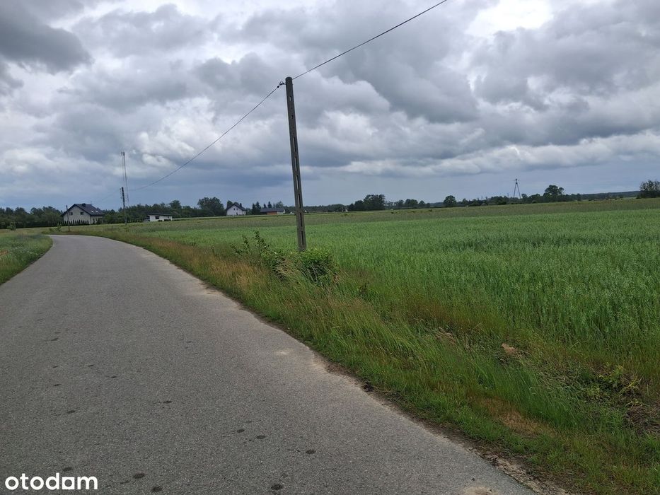 Do sprzedania w tej cenie trzy działki -Sworzyce