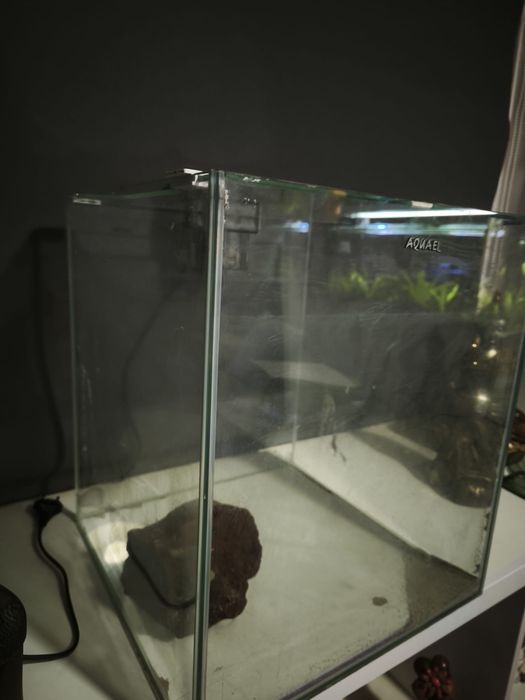 Aquario em cubo completo