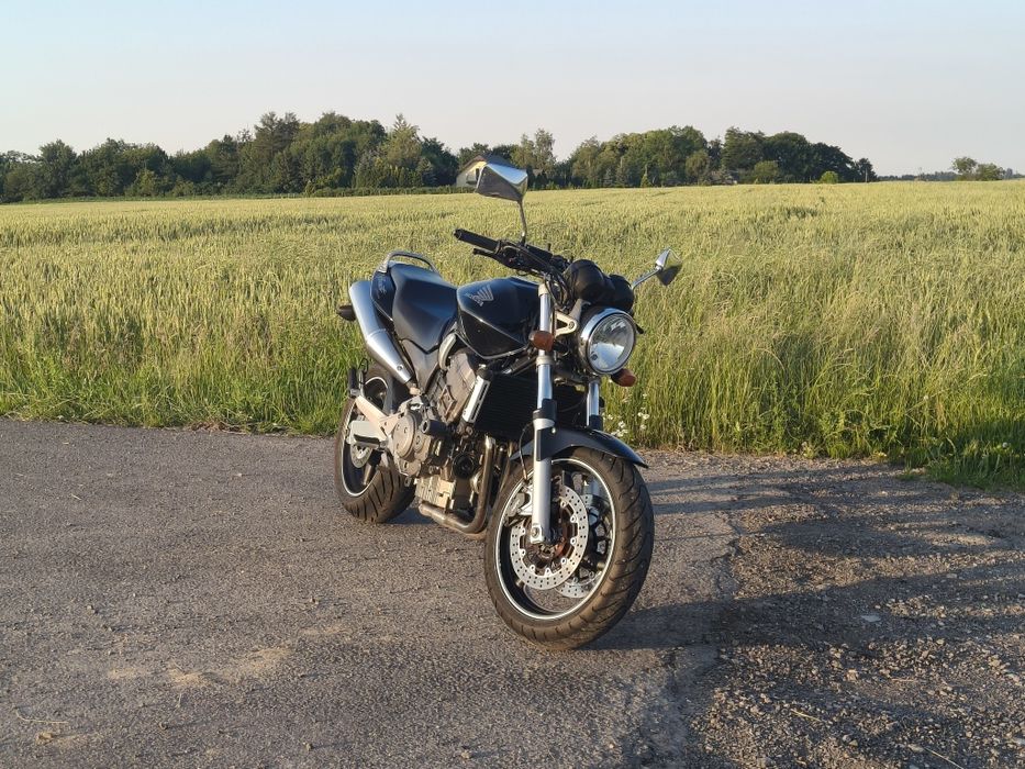 Hornet 900 Stinky