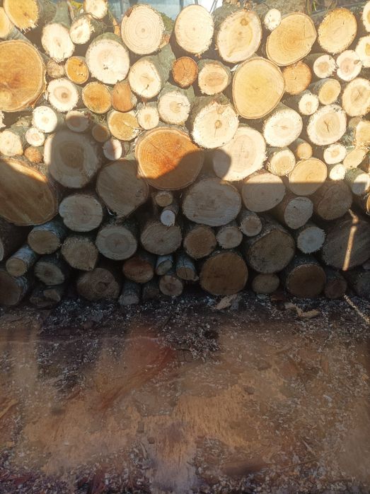 Witam sprzedam drewno opałowe, Kominkowe Buk, Dąb,Brzoza, Sosna ,Olcha