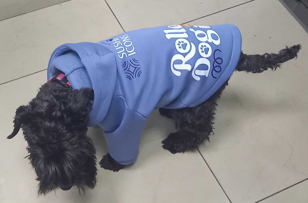 Одяг для тварин. Дощовики, жилети, худі, комбінезони. Інд. пошив