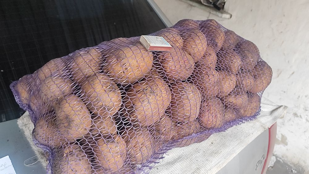Продам картоплю!