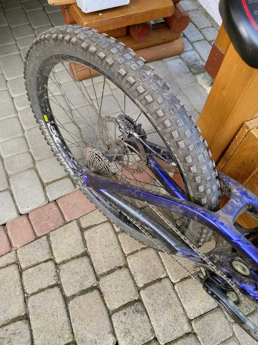 Scott Gambler 710 | Serwisowany,bez wkładu