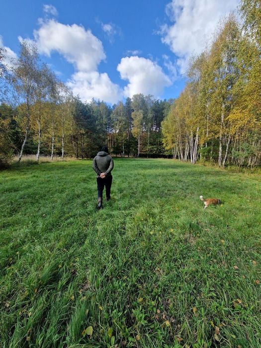 Twój własny dom z „drzwiami do lasu” – działka 45 arów z bezterminowymi WZ - Widok 3
