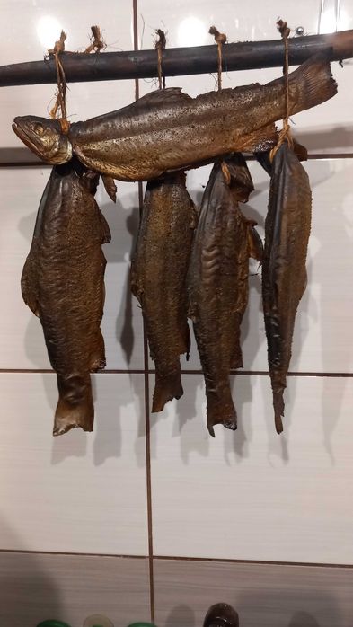 Pstrag wedzony zapraszam