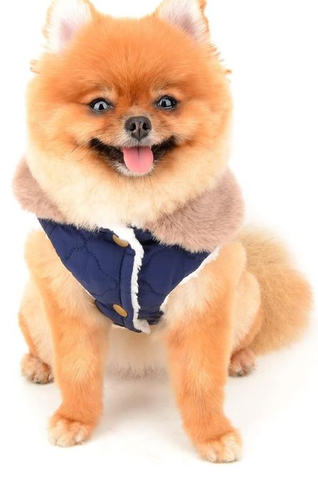 Одяг для собак , стьобана тепла жилетка