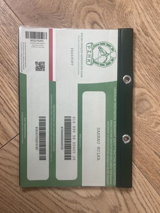 Sprzedam odsadka klacz