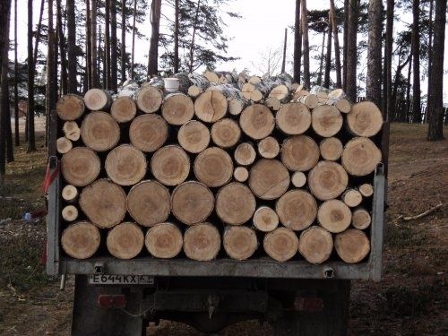 Доставим, выгрузим, занесем- дрова колотые, чурками, метражом.