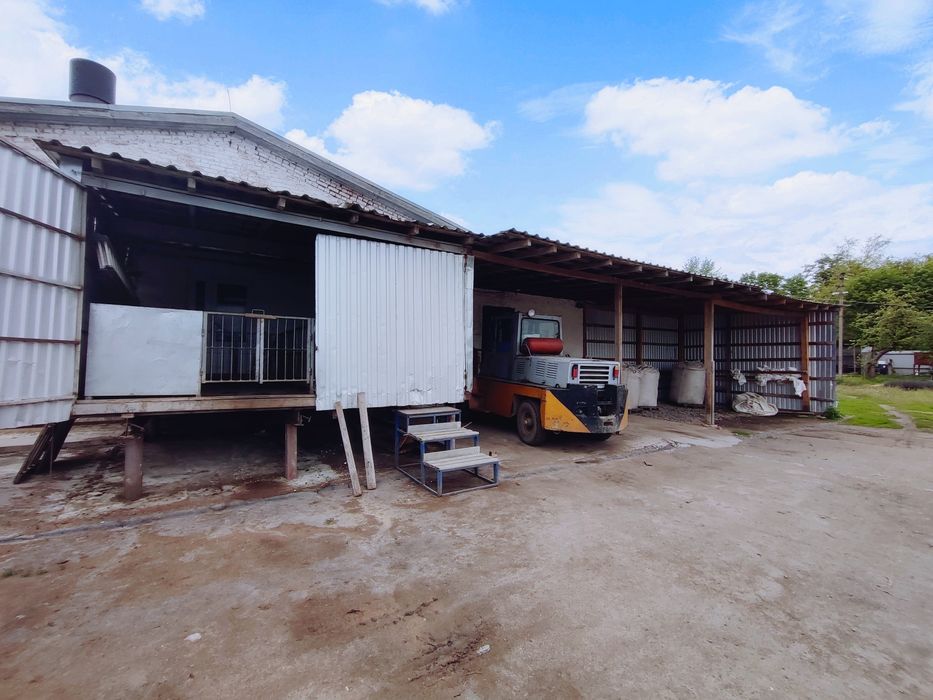 Продаж Діючої Свиноферми!