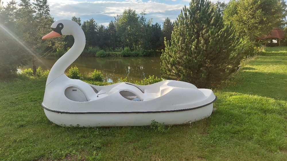 Duży rower wodny Łabędź
