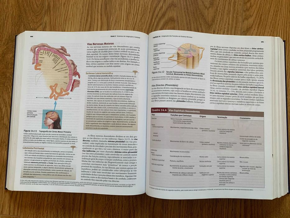 Anatomia & Fisiologia + Guia de Estudo (6ª Edição)