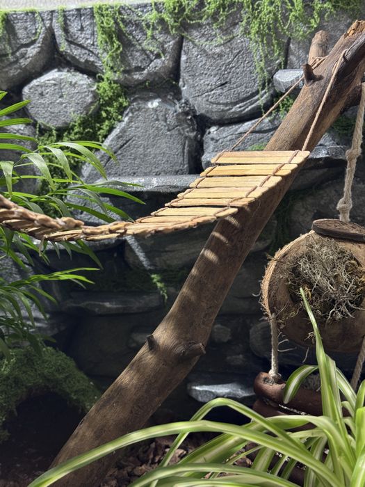 Фон в тераріум