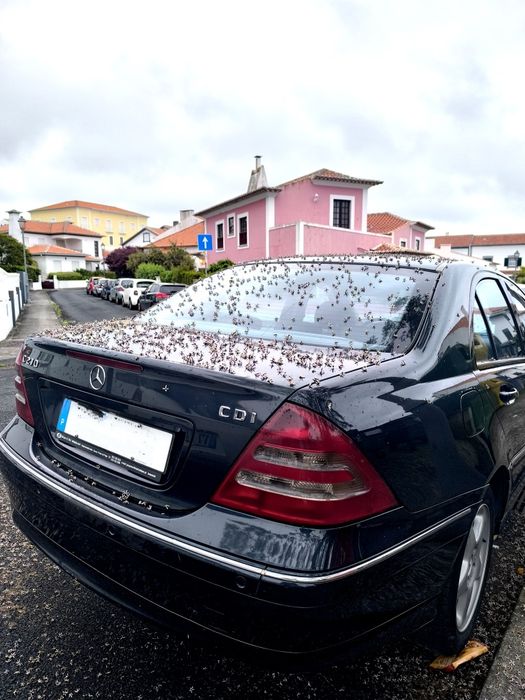 Mercedes Benz C270