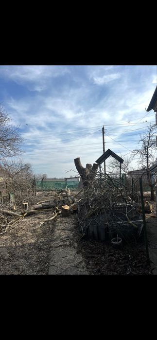 Зрізати дерево, кронування, валка, корчування пеньків,зачистка ділянки