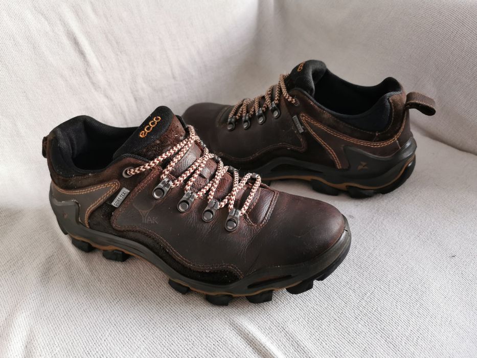 Ecco Terra Vg Dhaka Gore Tex Yak Receptor buty trekkingowe 40