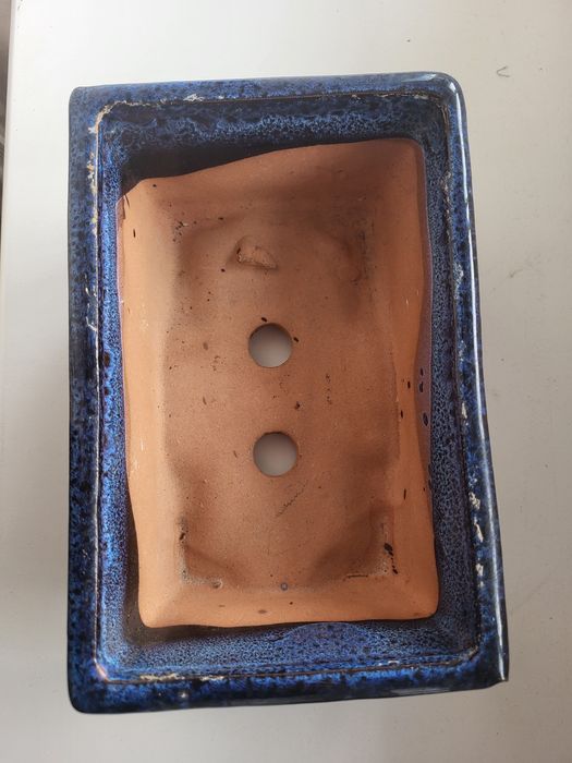 Горшик для бонсай