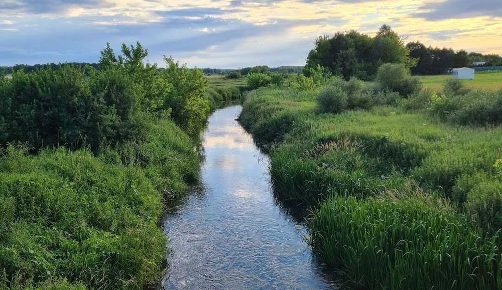 W całości ogrodzona działka 3000 m² z wodą i prądem, nowe sąsiedztwo – Dłużew - Widok 5