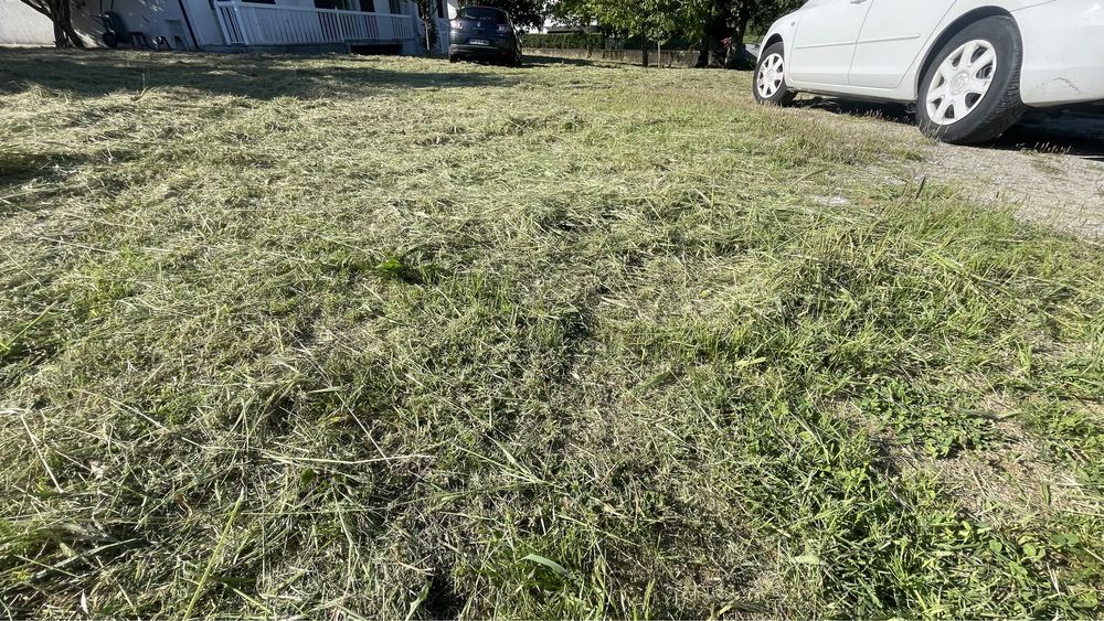 ServiÇo de desmataçao de terrenos agricolas