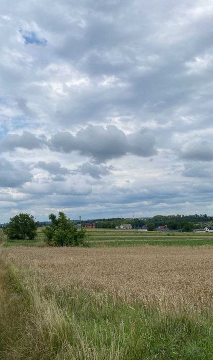 Продам земельну ділянку в с. Обарів