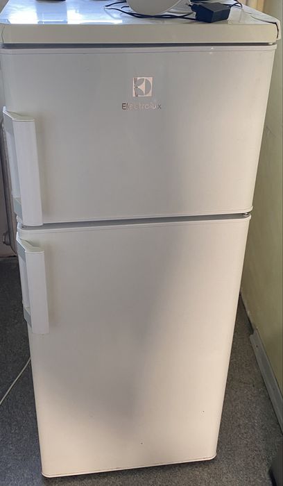 lodówka chłodziarko-zamrażalka Electrolux CT-180