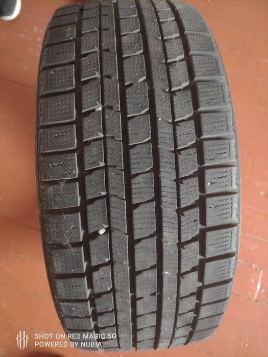 Шина Dunlop продам