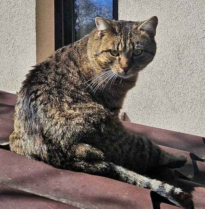 Szukasz przyjaciela? Maniuś czeka na Twój telefon!