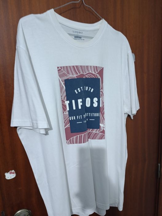 Conjunto de T-shirts e Camisas Sociais L (bom estado)