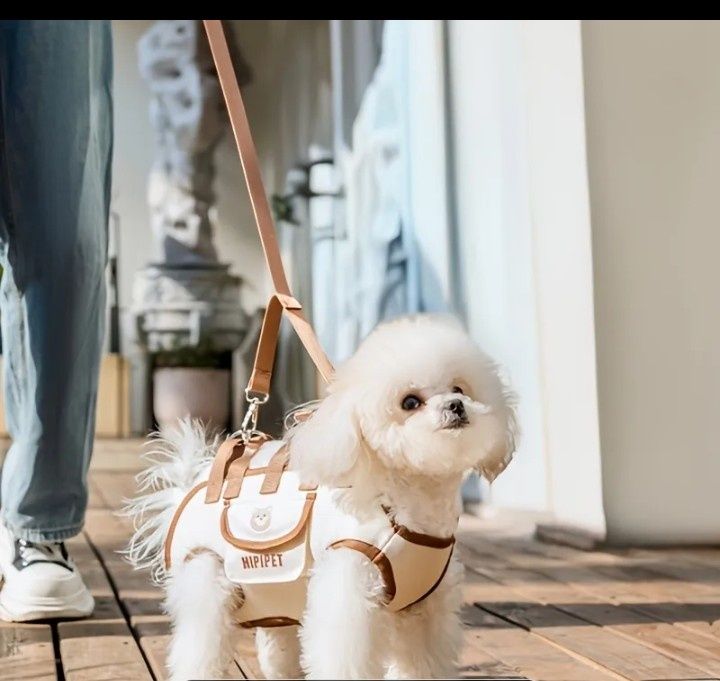 Переноска, шлейка, сумка, слінг