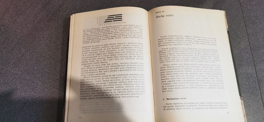 Botanika ogólna
W. Nultsch