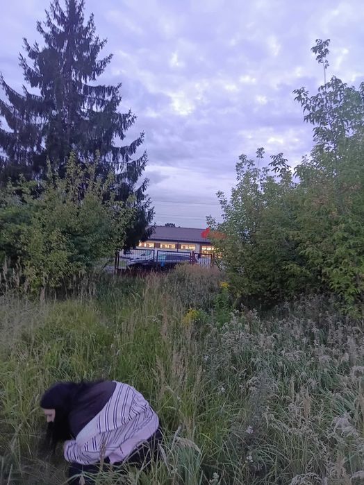 Działka Dmosin Drugi woj .łódzkie - Widok 4
