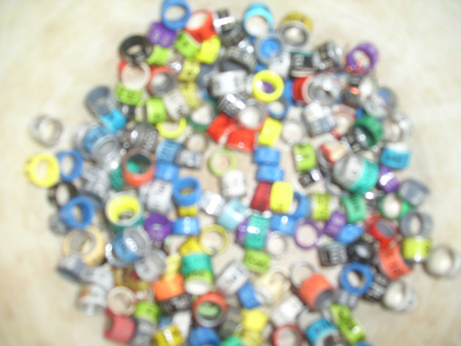 golebie ozdobne obraczki stare ozdobne