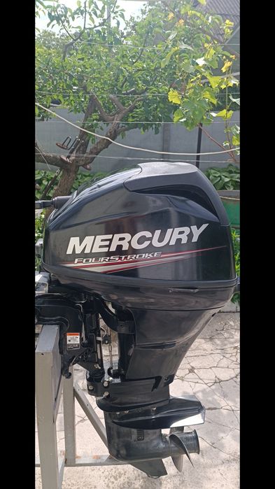 Mercury 15 4T. 2017 starter