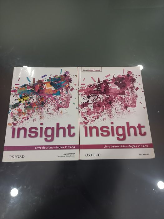 Manuais de Inglês 11 ano
