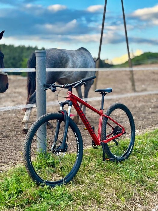 Sprzedam rower Specialized Rockhopper Comp