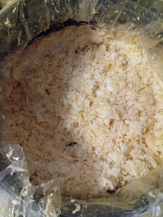 Kapusta kiszona ekologiczna