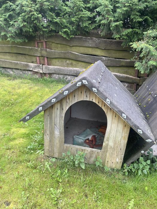 Buda dla dużego psa xxl owczarek niemiecki alaskan malamute