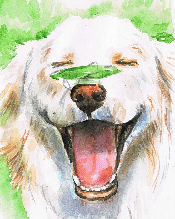 Retrato de cão personalizado
