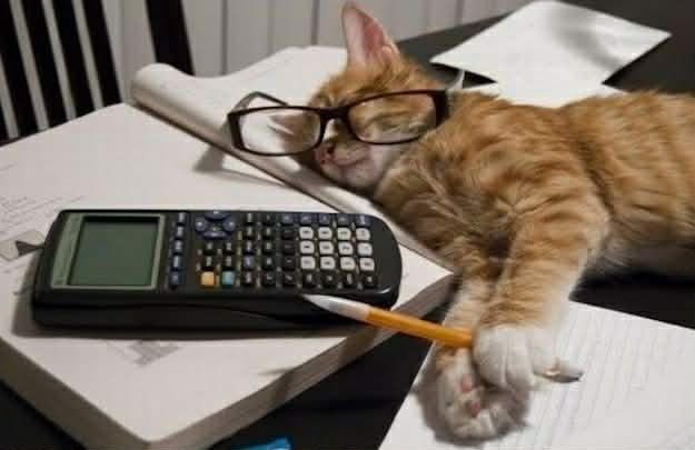 Korepetycje z matematyki i biologii