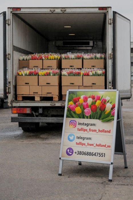 ОПТ тюльпни / троянди оптом / квіти цветы тюльпаны